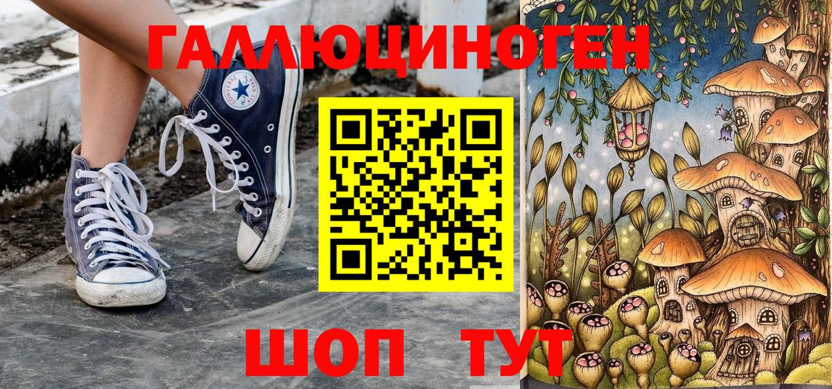 Галлюциногенные грибы Psilocybine cubensis Отрадное