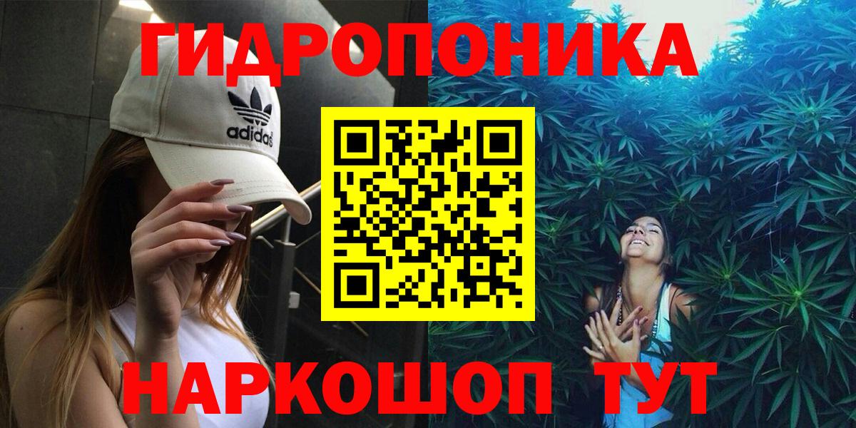 Конопля семена  Вход с VPN  Отрадное  Конопля White Widow  Бошки Шишки индика 